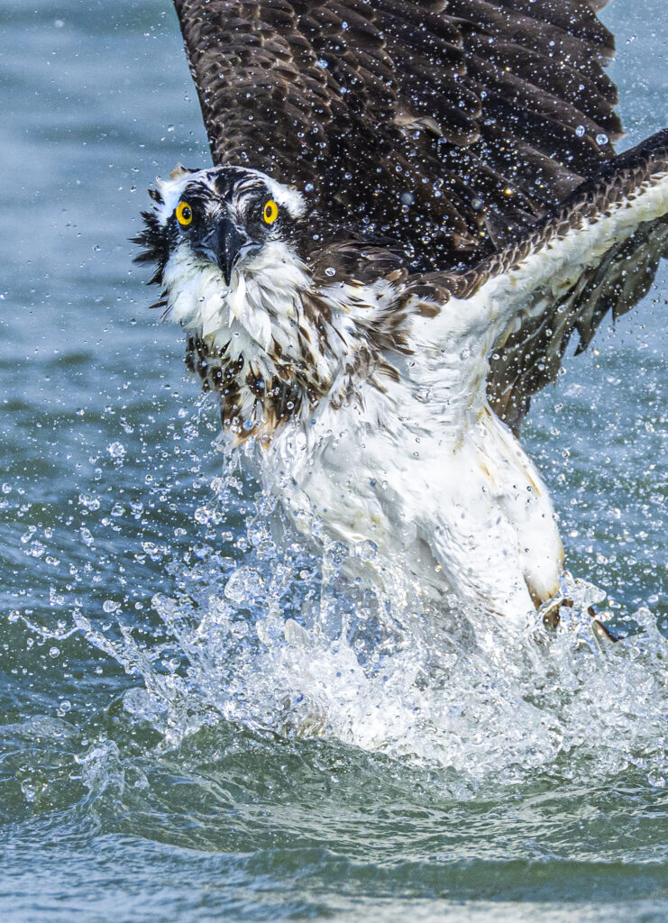 77a1801 recovered recovered